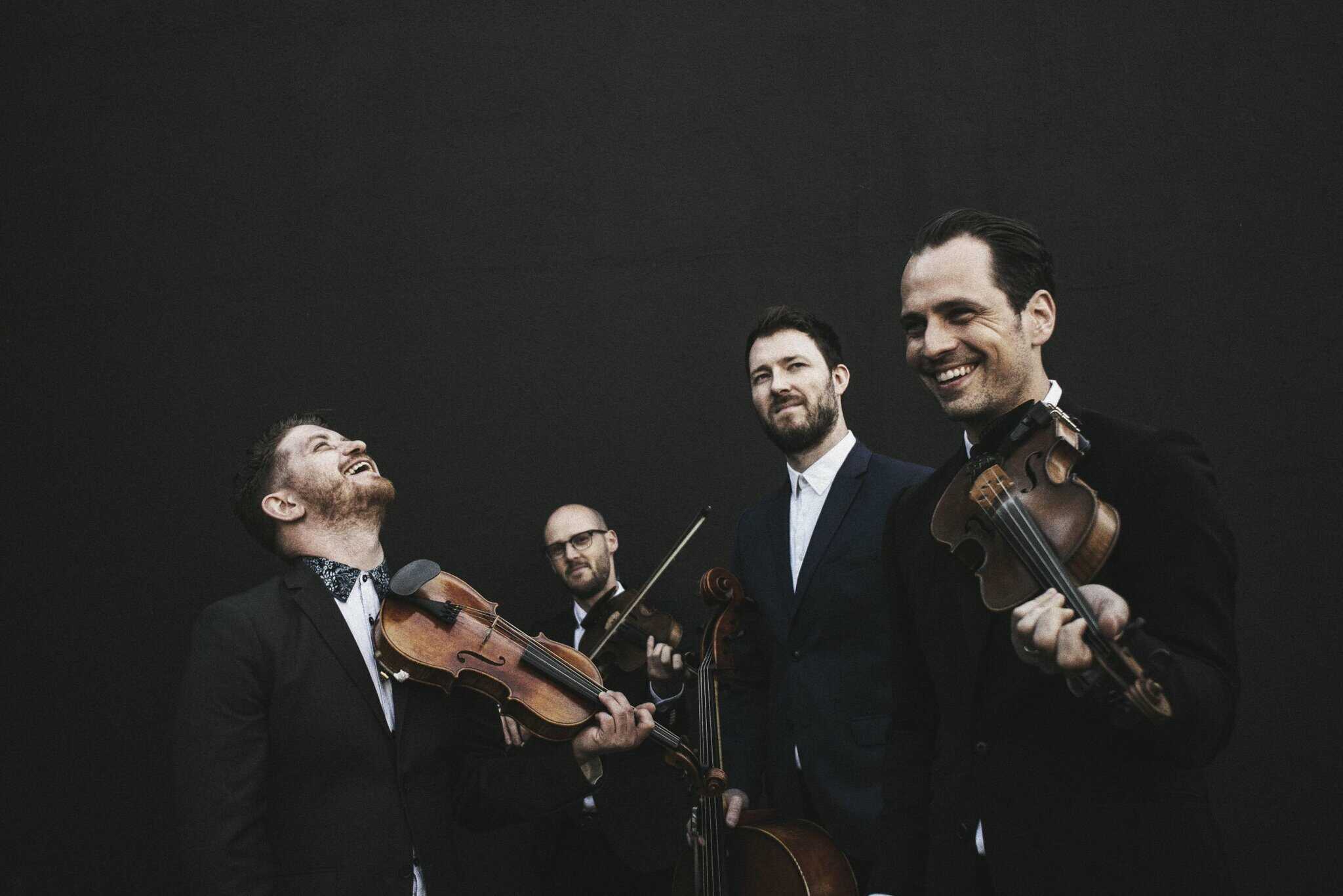 Fretless Press Pic